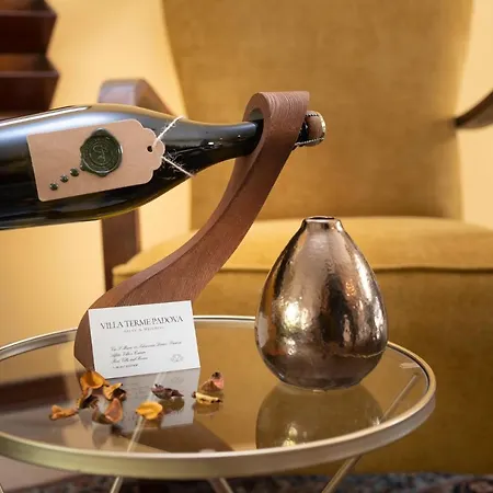 Terme Padova-relax & Wellness *